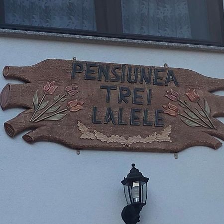 Pensiunea Trei Lalele 莫伊塞 外观 照片