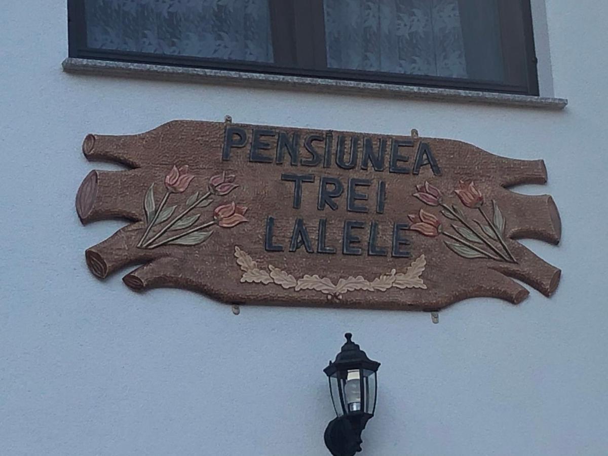 Pensiunea Trei Lalele 莫伊塞 外观 照片