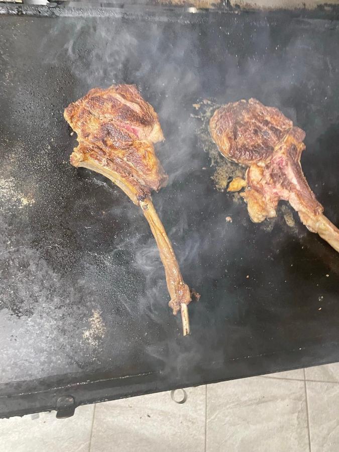 Pensiunea Trei Lalele 莫伊塞 外观 照片